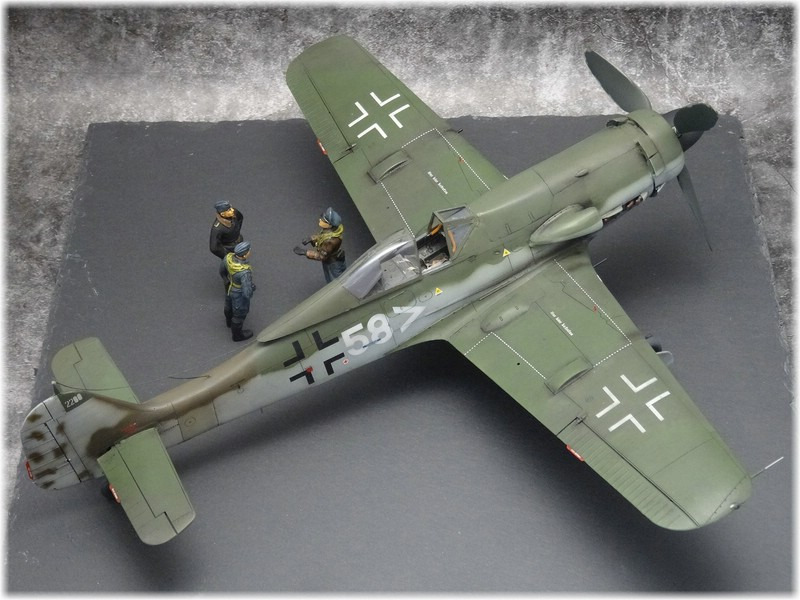 Focke-Wulf  Fw 190 D-11