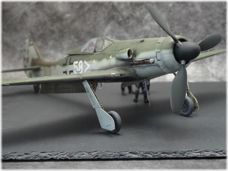 Focke-Wulf  Fw 190 D-11
