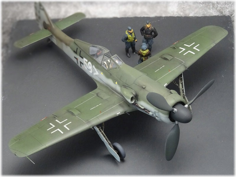 Focke-Wulf  Fw 190 D-11