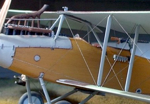 Albatros C.X