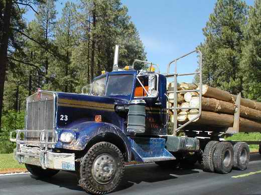 Kenworth 925 mit Logging Trailer