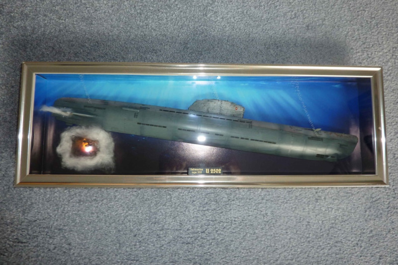 U 2502 hinter Glas