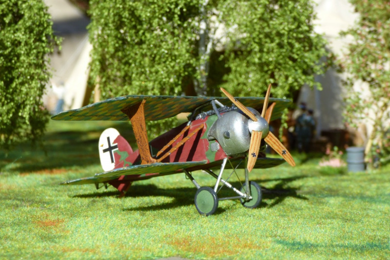 Albatros D.XI