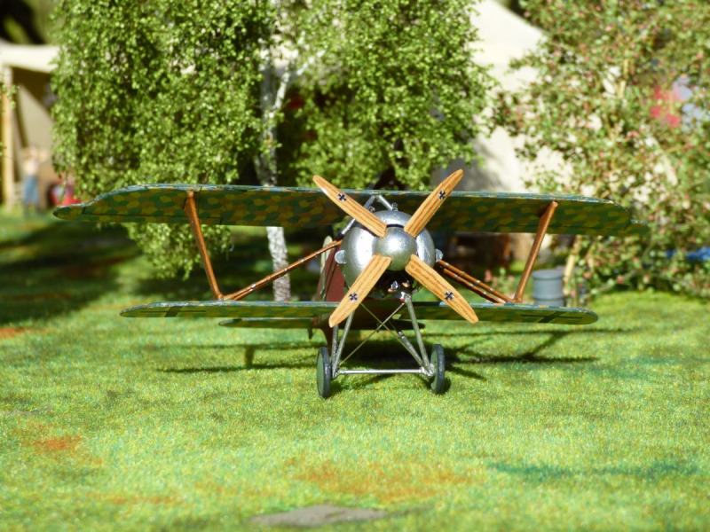 Albatros D.XI