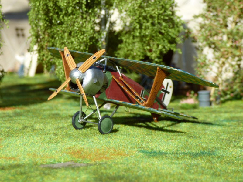 Albatros D.XI