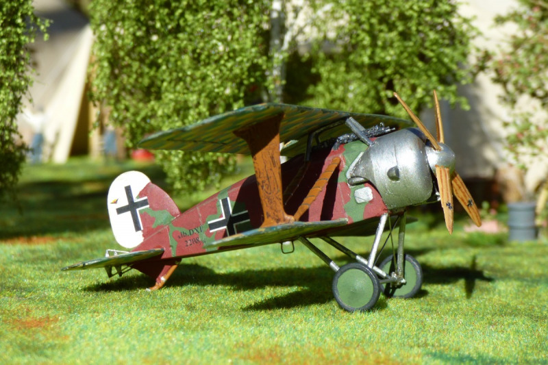 Albatros D.XI