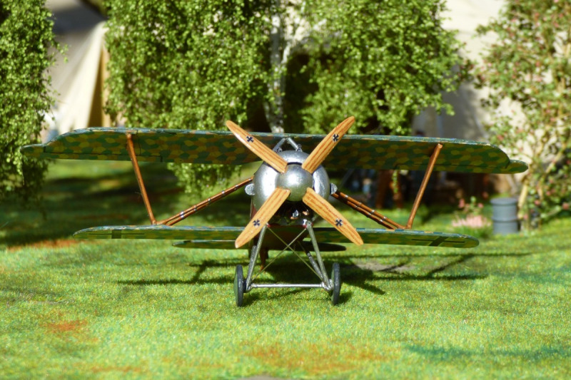 Albatros D.XI
