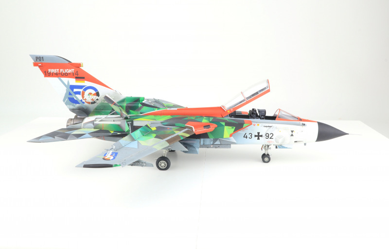 Panavia Tornado Fifty Years