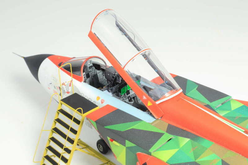 Panavia Tornado Fifty Years