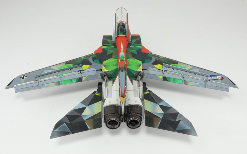 Panavia Tornado Fifty Years
