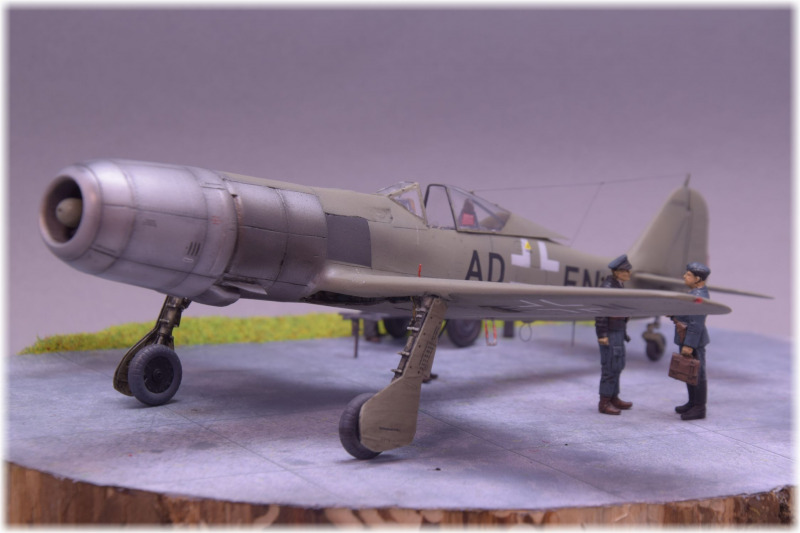 Focke-Wulf Fw 190 TL