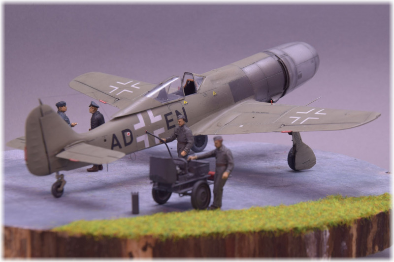 Focke-Wulf Fw 190 TL