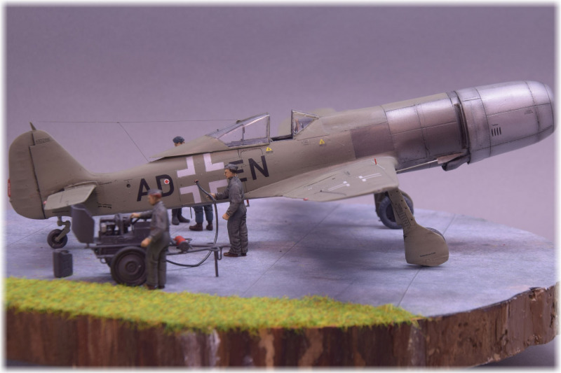 Focke-Wulf Fw 190 TL