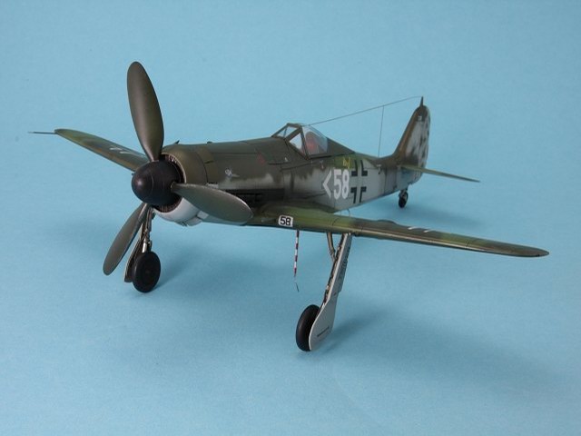 Focke-Wulf FW 190 D-11 
