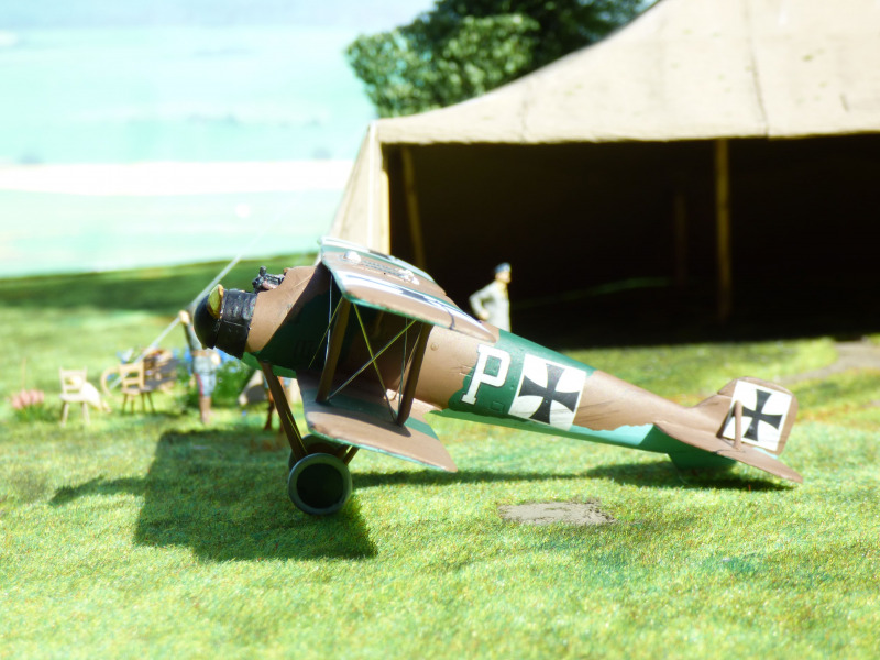 LFG Roland D.II