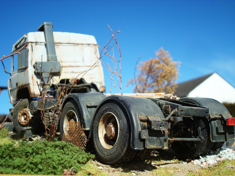 IVECO - Roste in Frieden