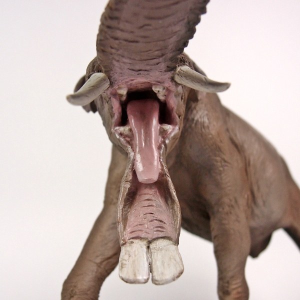 Platybelodon