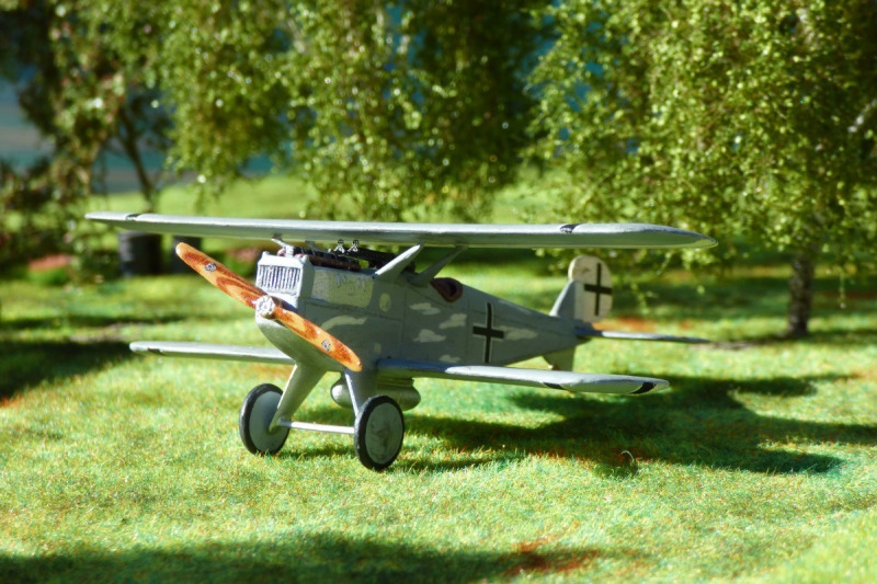 Dornier D.I