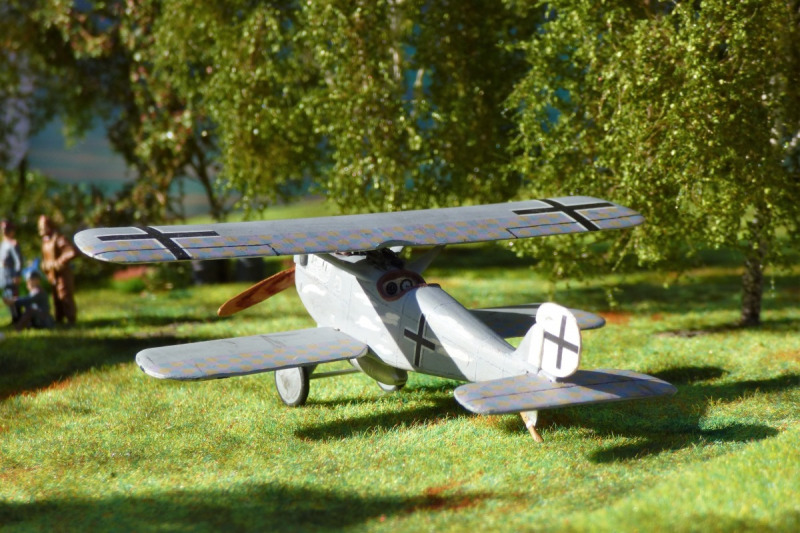 Dornier D.I