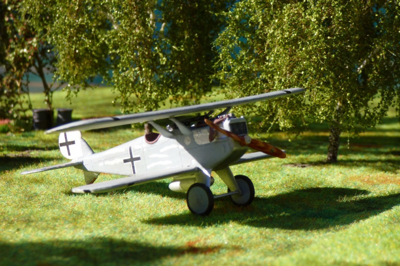 Dornier D.I