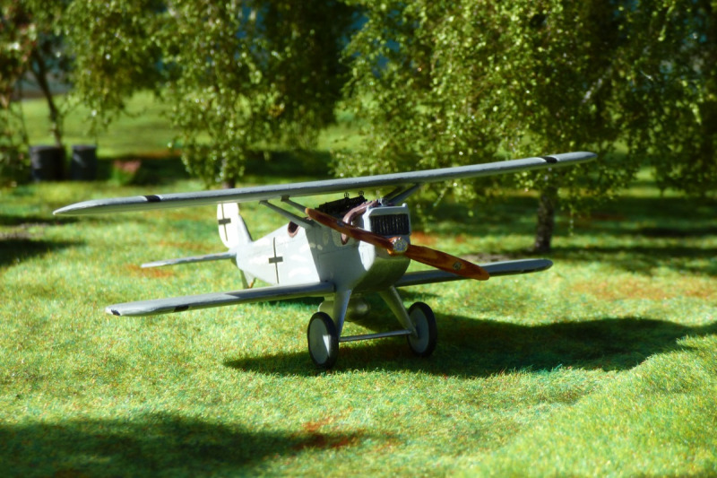 Dornier D.I