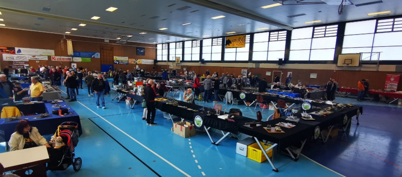 31. Ausstellung des PMC Saar am 12.10.2025 - Teil 1