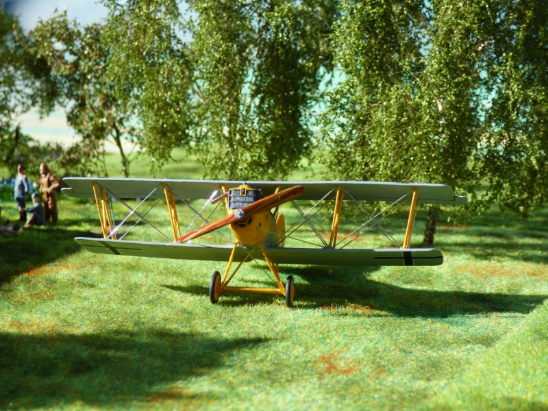 Pfalz D.XII