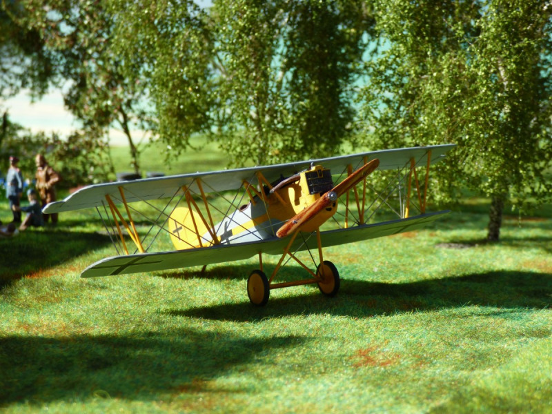 Pfalz D.XII