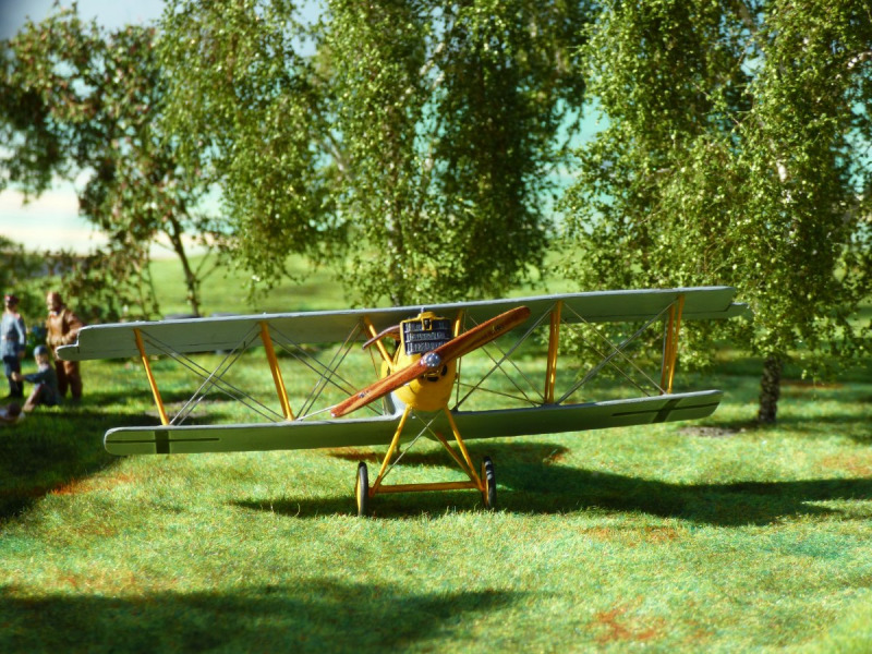 Pfalz D.XII