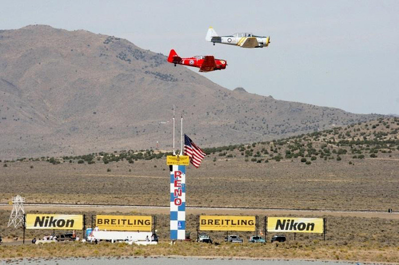 Race Mustang P-51 "Miss Foxy Lady" (White)