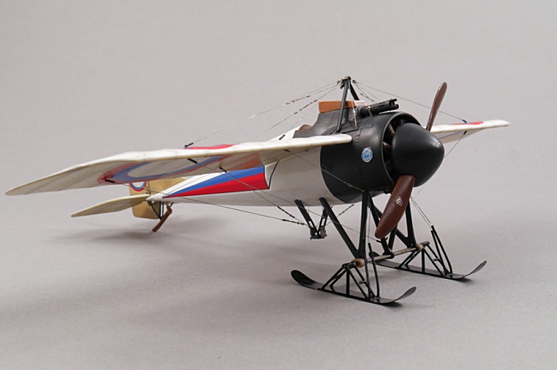 Morane-Saulnier Typ I