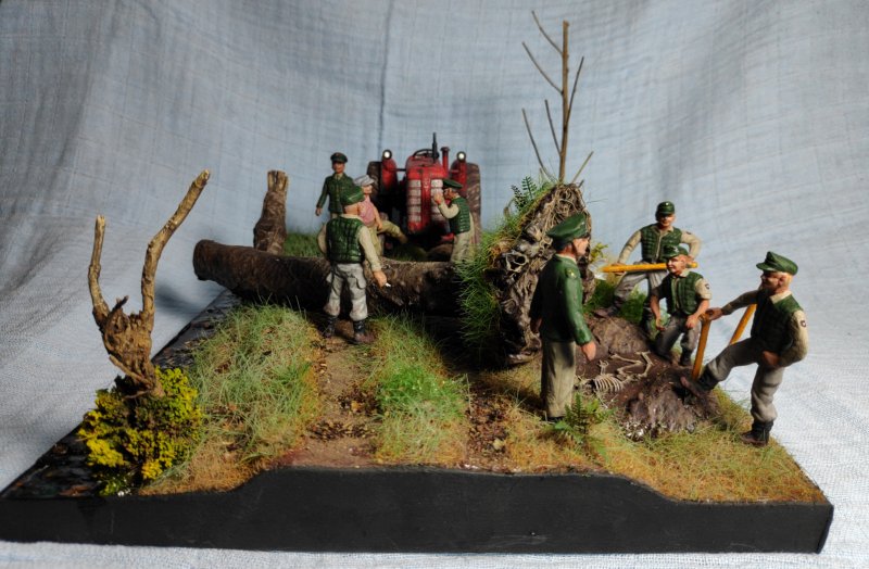 Das Geheimnis im Moor