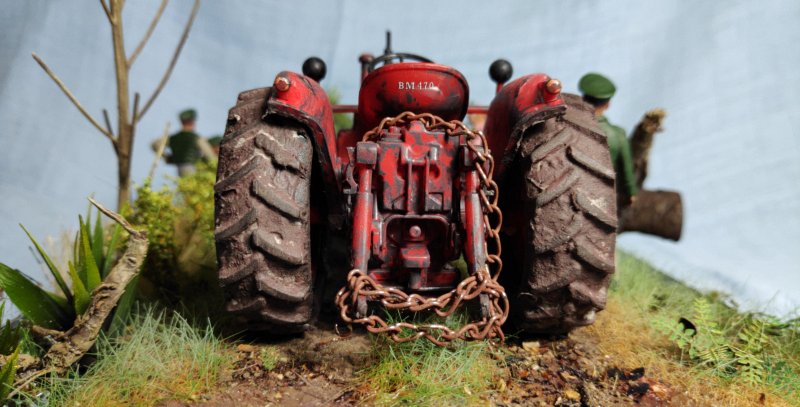 Das Geheimnis im Moor