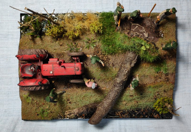 Das Geheimnis im Moor