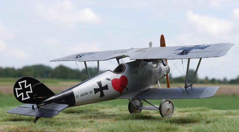 Pfalz D.III