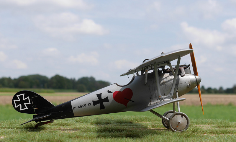 Pfalz D.III