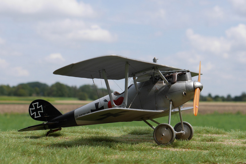 Pfalz D.III