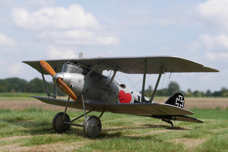 Pfalz D.III