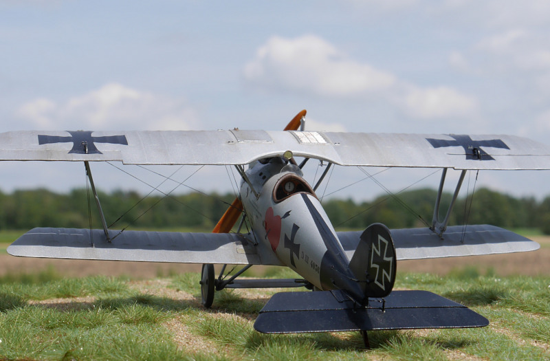 Pfalz D.III