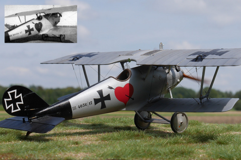 Pfalz D.III