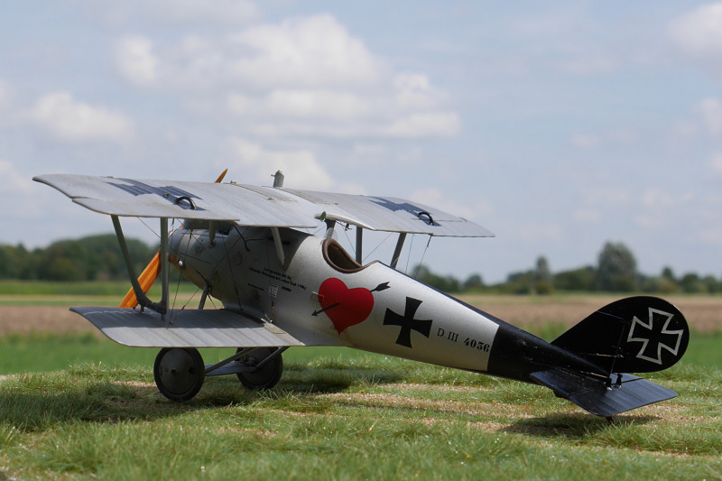 Pfalz D.III