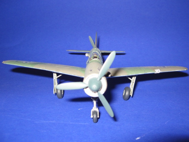 Dornier Do 335 A-1 Pfeil