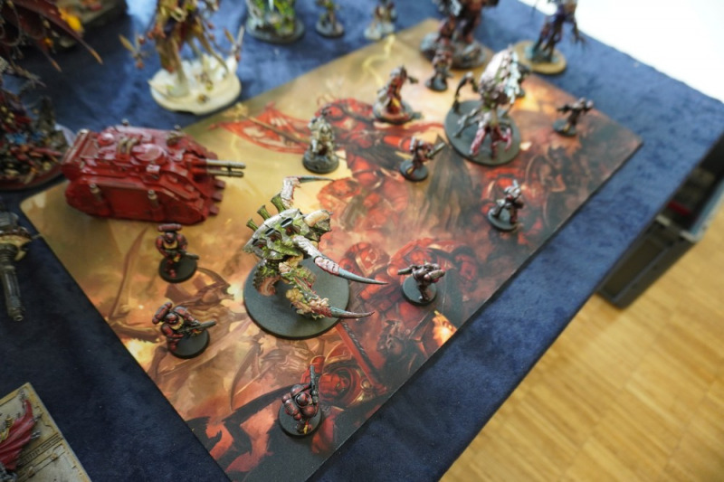 16. Ausstellung des MBC Koblenz, 25./26.10.2025, Teil 3