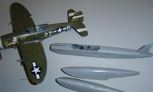 Um eine Idee von der Größe des Vogels zu bekommen, hier ein Vergleich mit einer P-47.