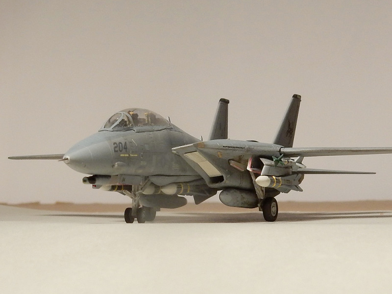 Grumman F-14D Tomcat