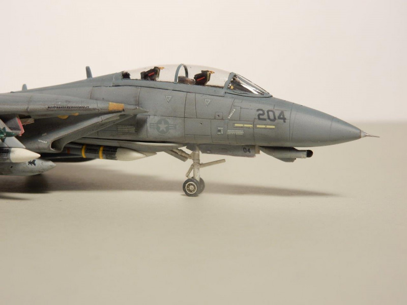 Grumman F-14D Tomcat