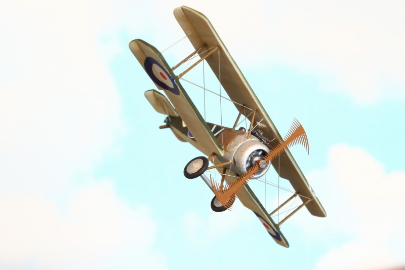 Fokker Dr.1 vs Sopwith F.1 Camel