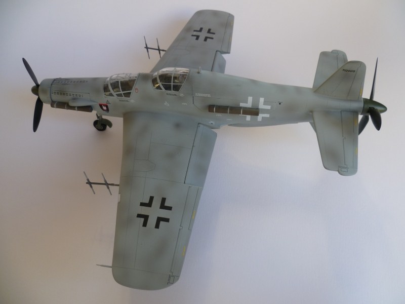 Dornier Do 335 A-? "Ameisenbär"