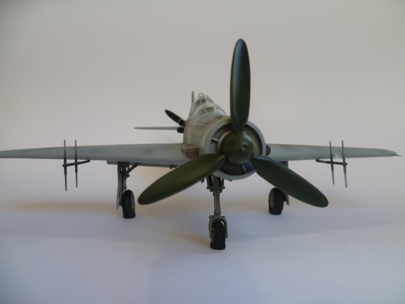 Dornier Do 335 A-? "Ameisenbär"