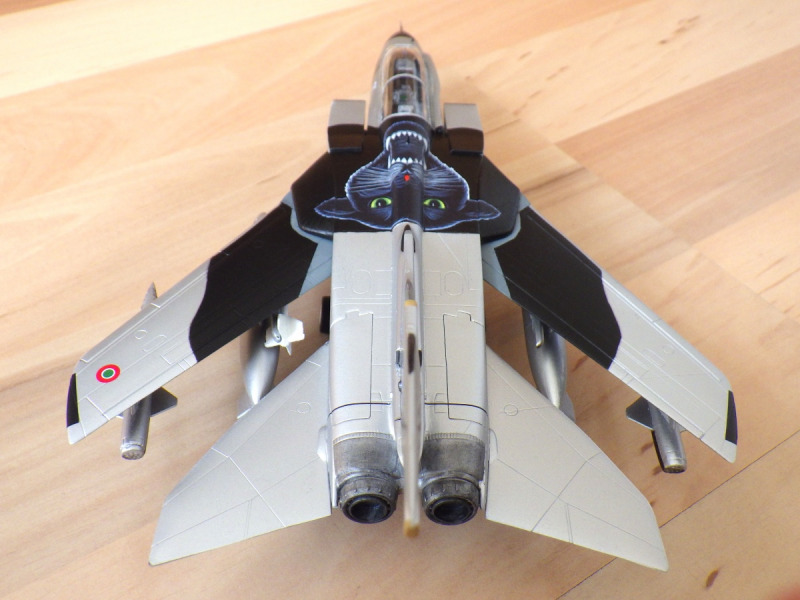 Panavia Tornado IDS "Black Panthers"